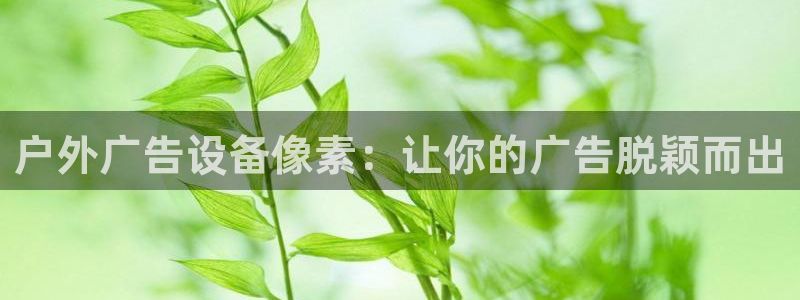 杏宇平台代理多少钱一次