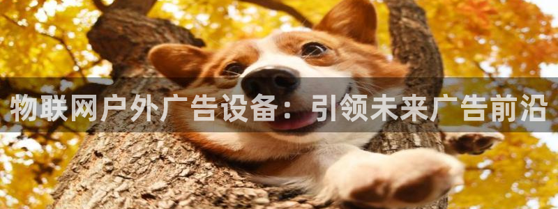 杏宇平台代理多少钱一次