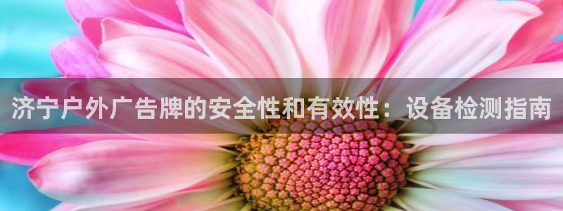 杏宇平台代理怎么样可靠吗