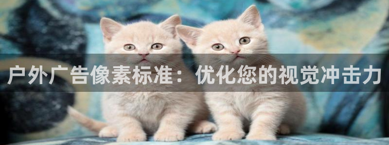 杏宇平台好吗
