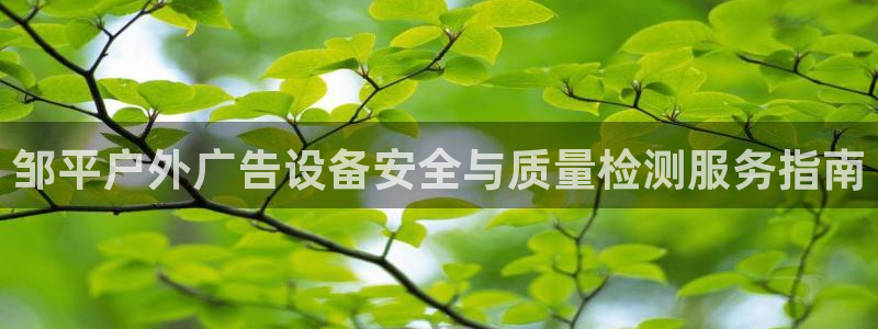 杏宇官方平台官网下载