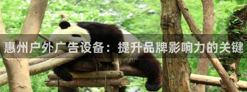 杏宇代理注册