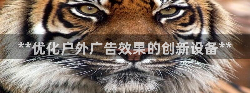 杏宇官方平台官网下载：**优化户外广告效果的创新设备**