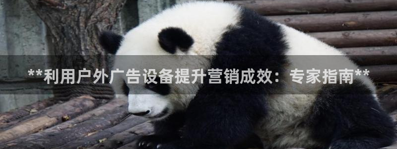 杏宇平台客服：**利用户外广告设备提升营销成效：专家指南**