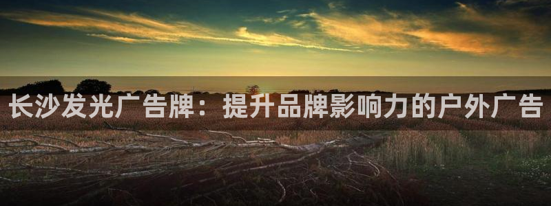 杏宇平台代理怎么样可靠吗：长沙发光广告牌：提升品牌影响力的户外广告