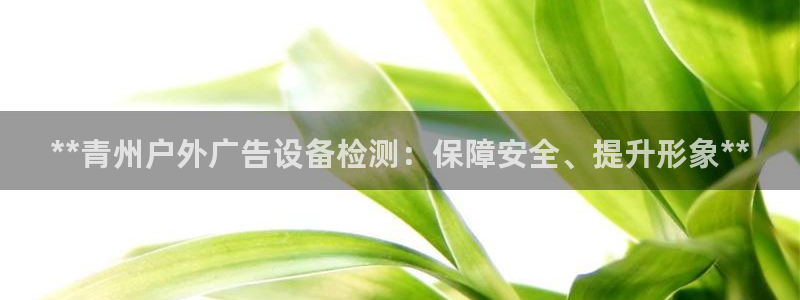 杏宇平台招商电话号码：**青州户外广告设备检测：保障安全、提升形象**