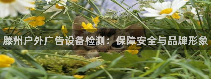 杏宇平台好吗：滕州户外广告设备检测：保障安全与品牌形象