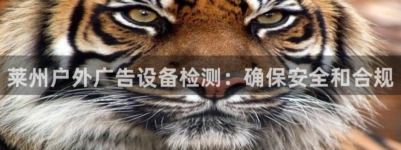杏宇平台注册地址：莱州户外广告设备检测：确保安全和合规