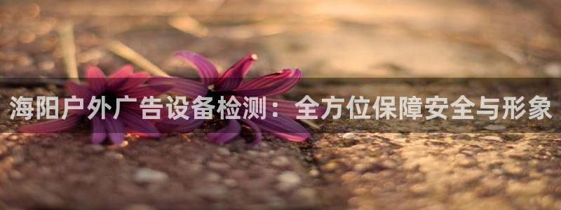 杏宇平台代理怎么样啊