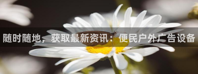 杏宇平台怎么样知乎