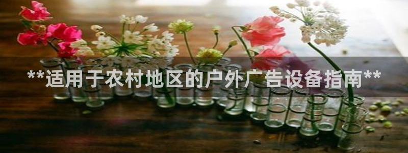 杏宇平台登录步骤图