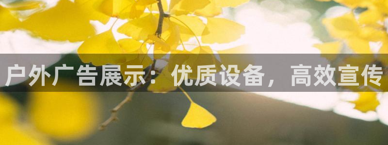 杏宇平台注册登录