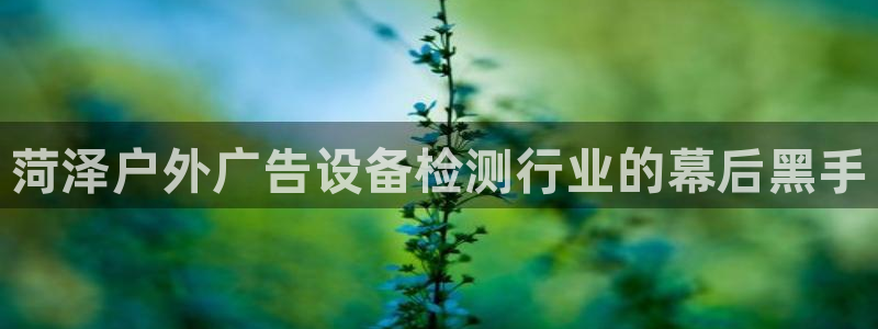 杏宇平台代理怎么赚钱快