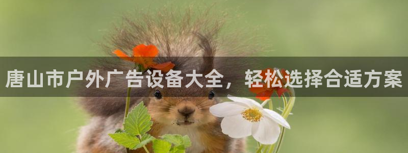 杏宇平台招商怎么样