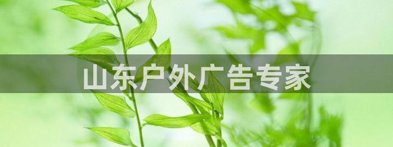 杏宇平台招商怎么样：山东户外广告专家