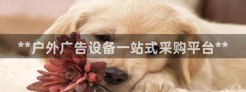杏宇官方平台官网下载