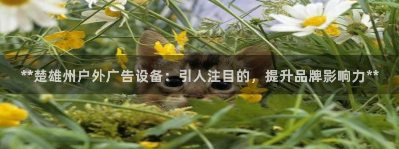 杏宇官方平台官网下载