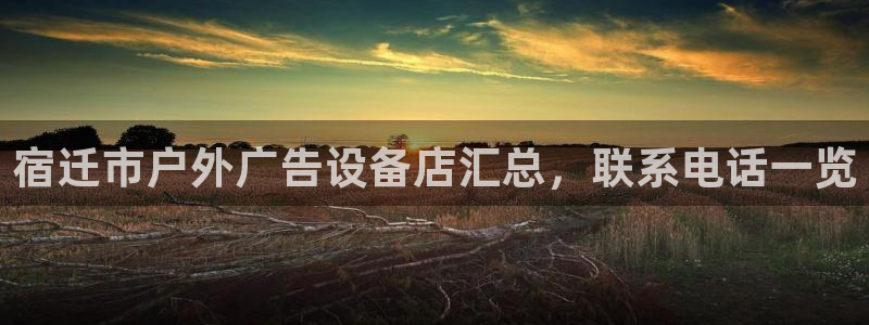杏宇官方平台官网