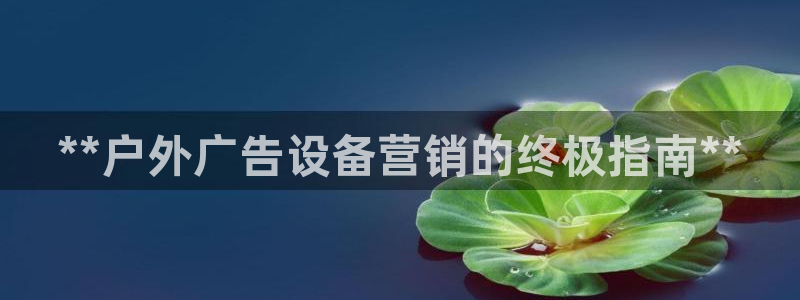 杏宇平台代理多少钱一个：**户外广告设备营销的终极指南**
