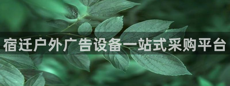 杏宇平台代理多少钱一次：宿迁户外广告设备一站式采购平台
