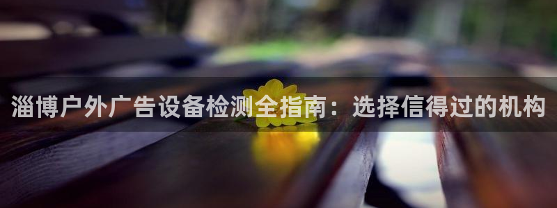 杏宇代理注册