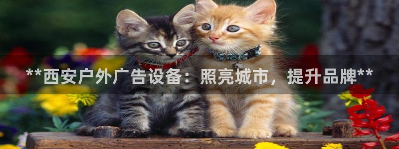 杏宇平台注册地址在哪里：**西安户外广告设备：照亮城市，提升品牌**