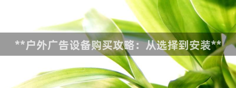 杏宇平台怎么样知乎