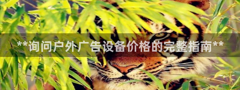 杏宇平台代理多少钱一个月