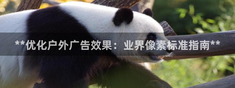 杏宇平台测速链接：**优化户外广告效果：业界像素标准指南**