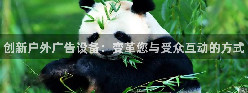 杏宇平台总代理