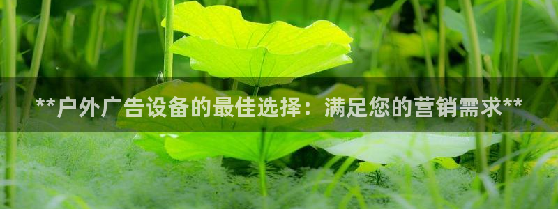 杏宇平台开户：**户外广告设备的最佳选择：满足您的营销需求**