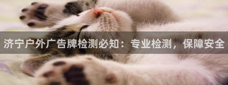 杏宇平台怎么样赚钱