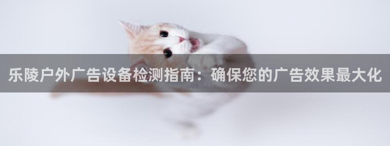 杏宇平台招商：乐陵户外广告设备检测指南：确保您的广告效果最大化
