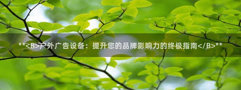 杏宇官方平台官网下载：**<B>户外广告设备：提升您的品牌影响力的终极指南</B>**