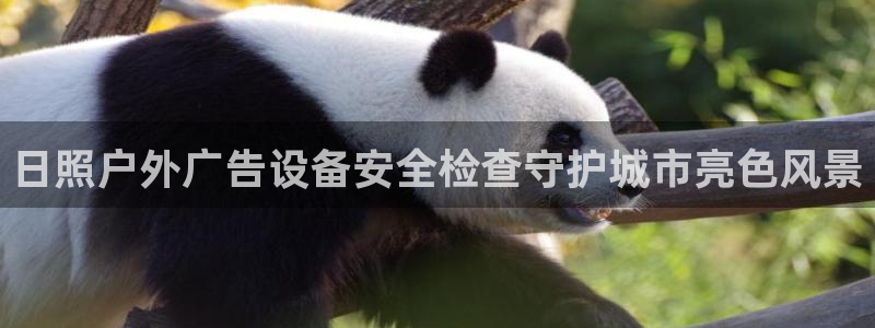 杏宇平台登录方法