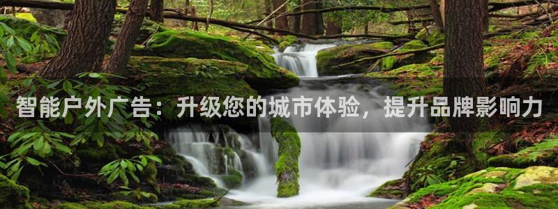 杏宇平台招商电话号码