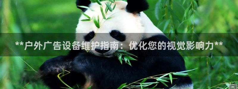 杏宇平台主管：**户外广告设备维护指南：优化您的视觉影响力**