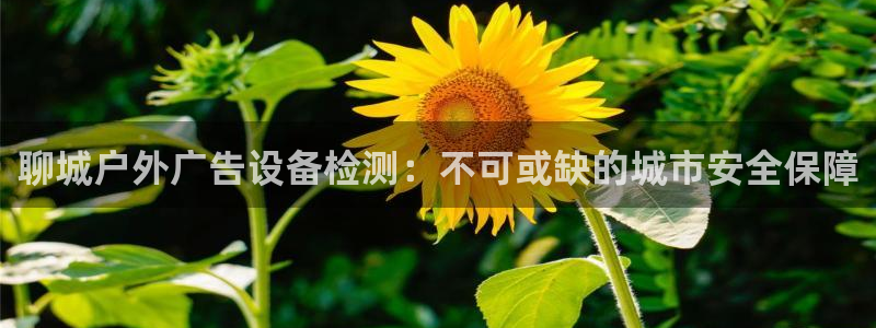 杏宇平台提现为什么这么久呢