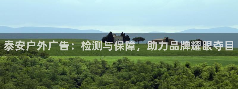 杏宇平台怎么样