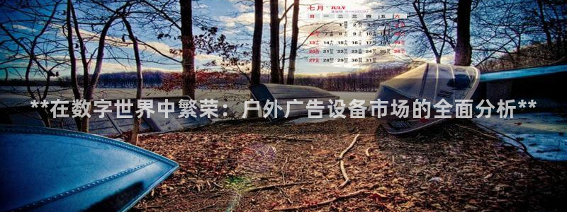杏宇平台代理怎么赚钱快：**在数字世界中繁荣：户外广告设备市场的全面分析**