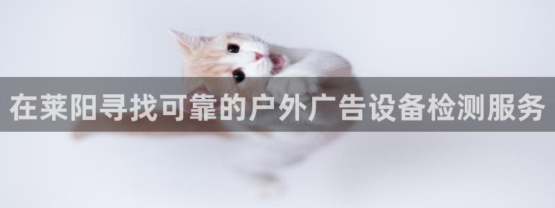 杏宇平台官网注册：在莱阳寻找可靠的户外广告设备检测服务