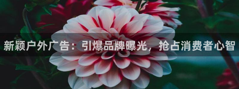 杏宇平台登录方法