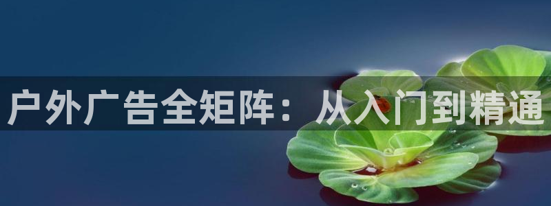 杏宇平台代理多少钱一次