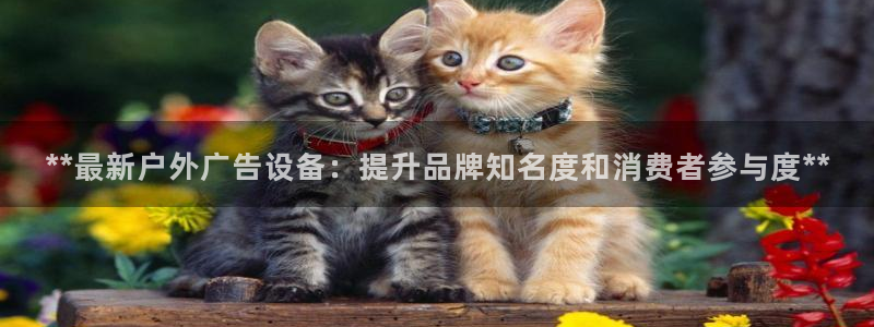 杏宇官方平台官网入口：**最新户外广告设备：提升品牌知名度和消费者参与度**