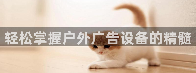 杏宇平台是什么