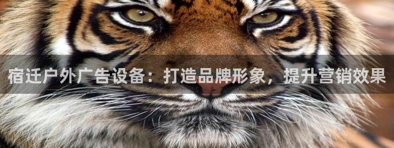 杏宇平台好吗