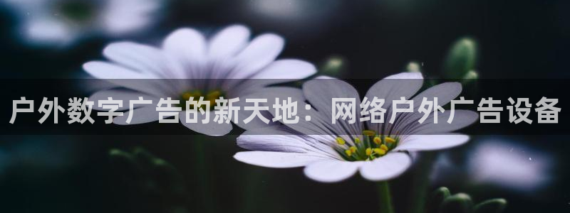杏宇平台总代理电话