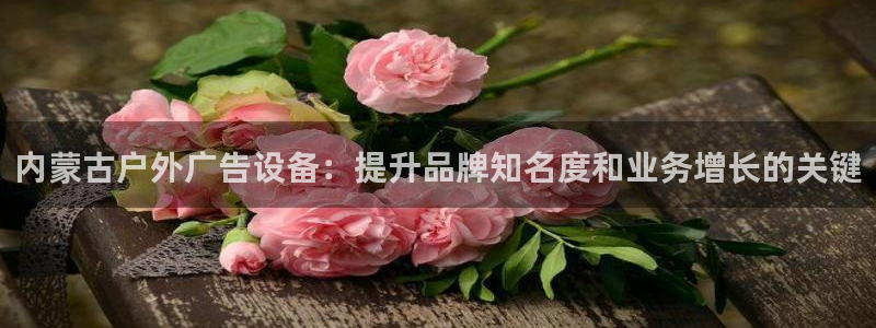 杏宇平台注册地址：内蒙古户外广告设备：提升品牌知名度和业务增长的关键