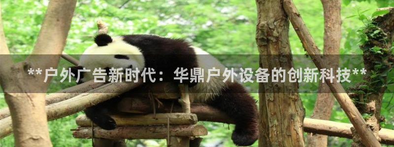 杏宇平台注册地址在哪里