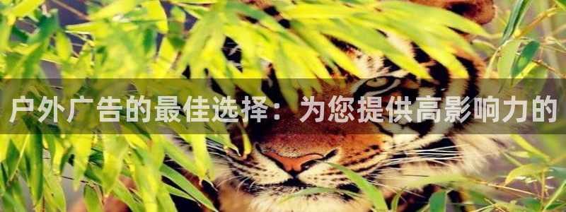 杏宇代理注册：户外广告的最佳选择：为您提供高影响力的